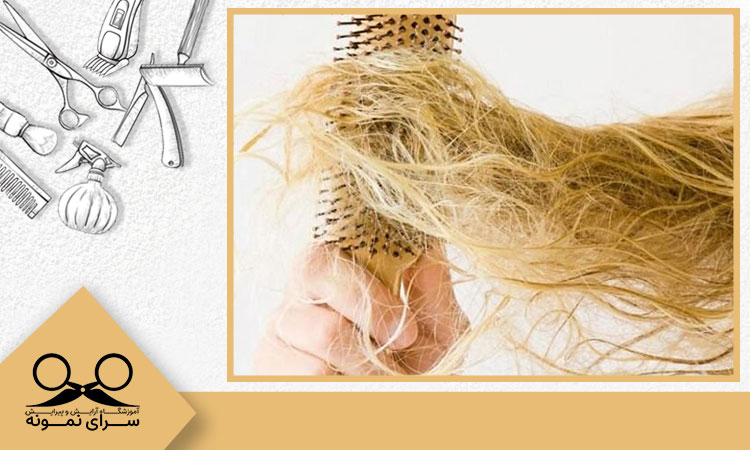 علت گره خوردن مو چیست؟ پاسخ در سایت هیرآکادمی